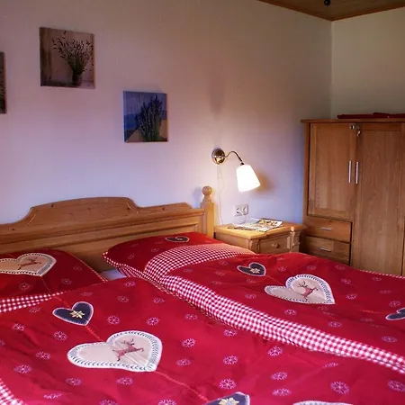 Almsternchen-3 * Oberstdorf